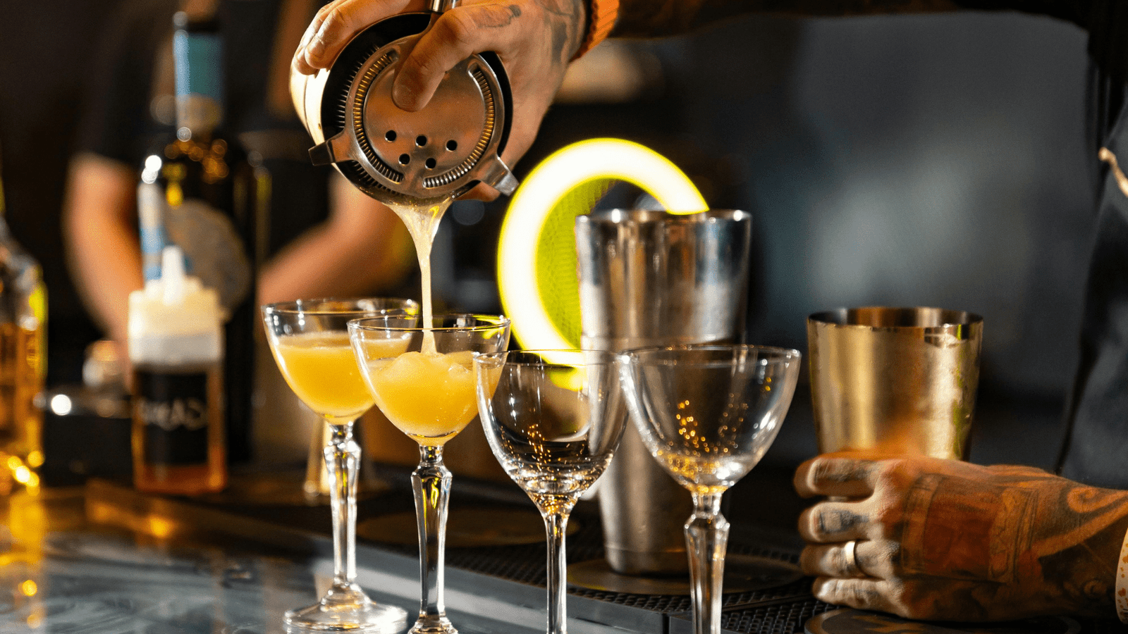 Experience Elevated Dining